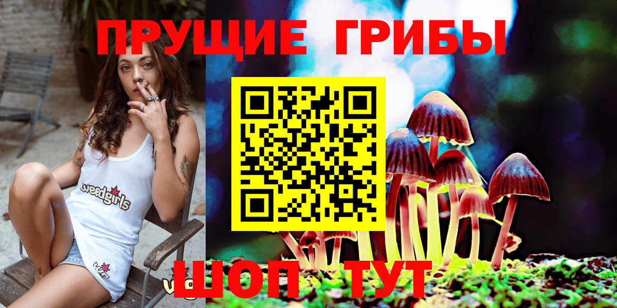 Псилоцибиновые грибы Cubensis  Вход с VPN  Морозовск  Псилоцибиновые грибы GOLDEN TEACHER 