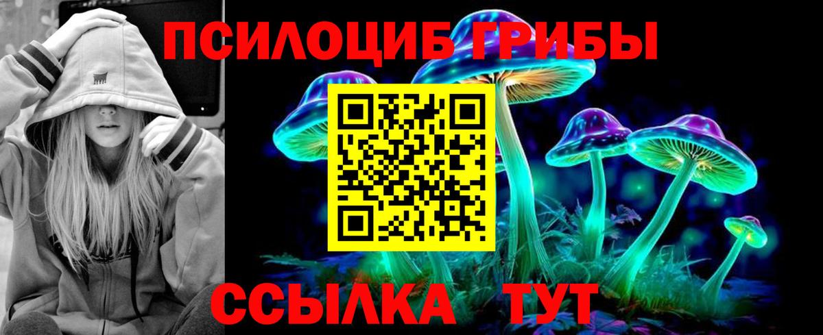 Псилоцибиновые грибы прущие грибы Морозовск